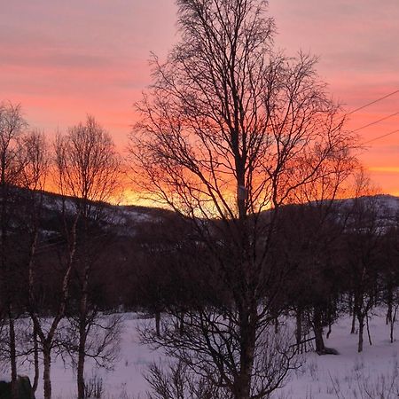 Utsikten Feriehus I Bakkeby ภายนอก รูปภาพ