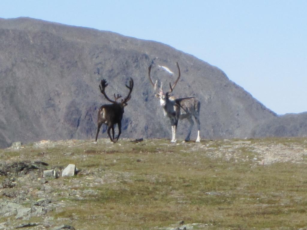 Utsikten Feriehus I Bakkeby ภายนอก รูปภาพ