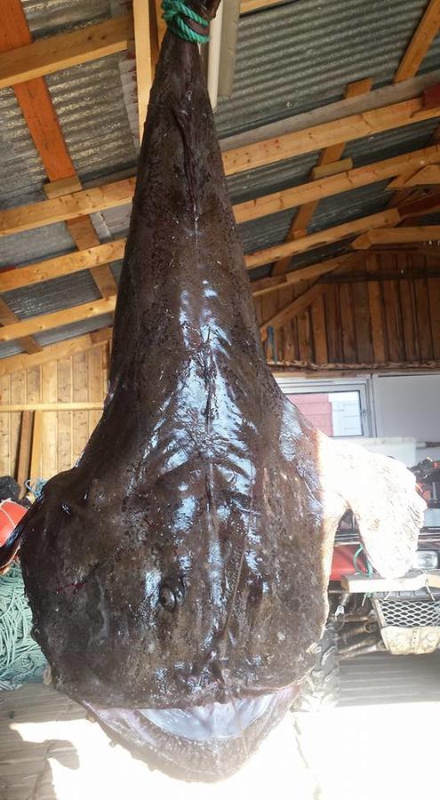 Utsikten Feriehus I Bakkeby ภายนอก รูปภาพ